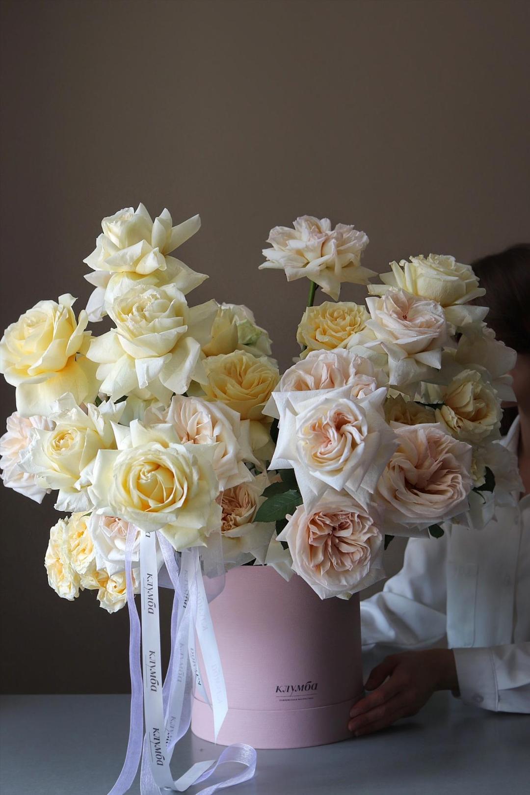 Lush Box [Лаш Бокс]