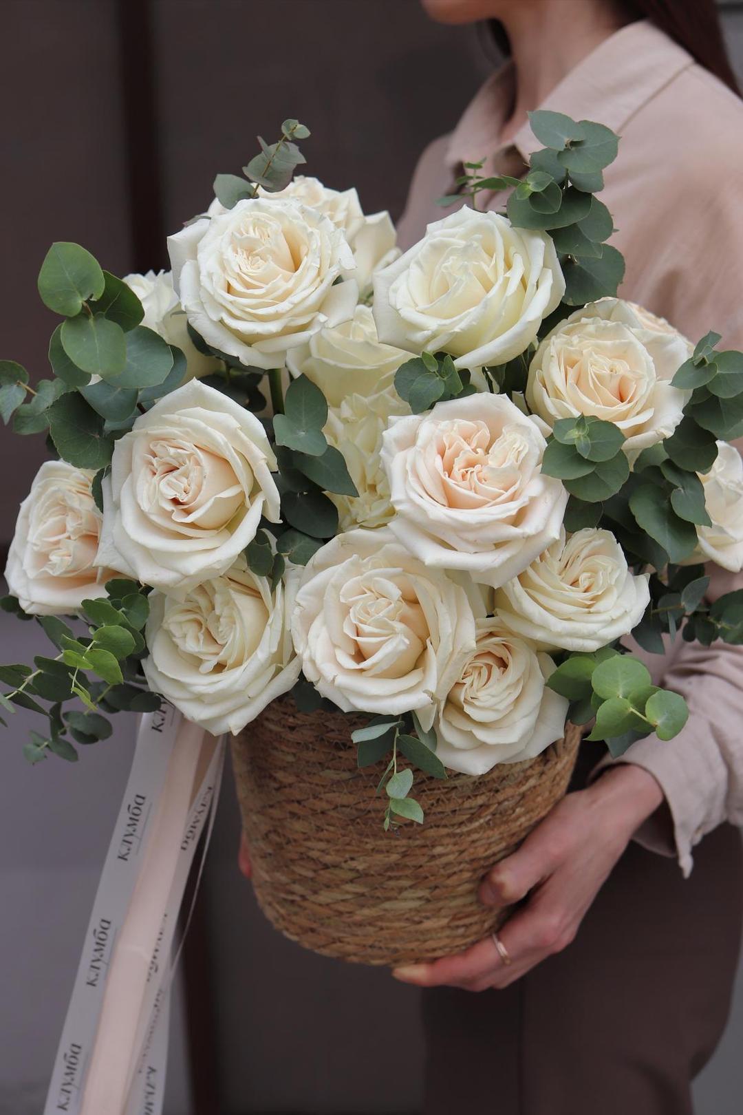 Muse Box [Мьюз Бокс]