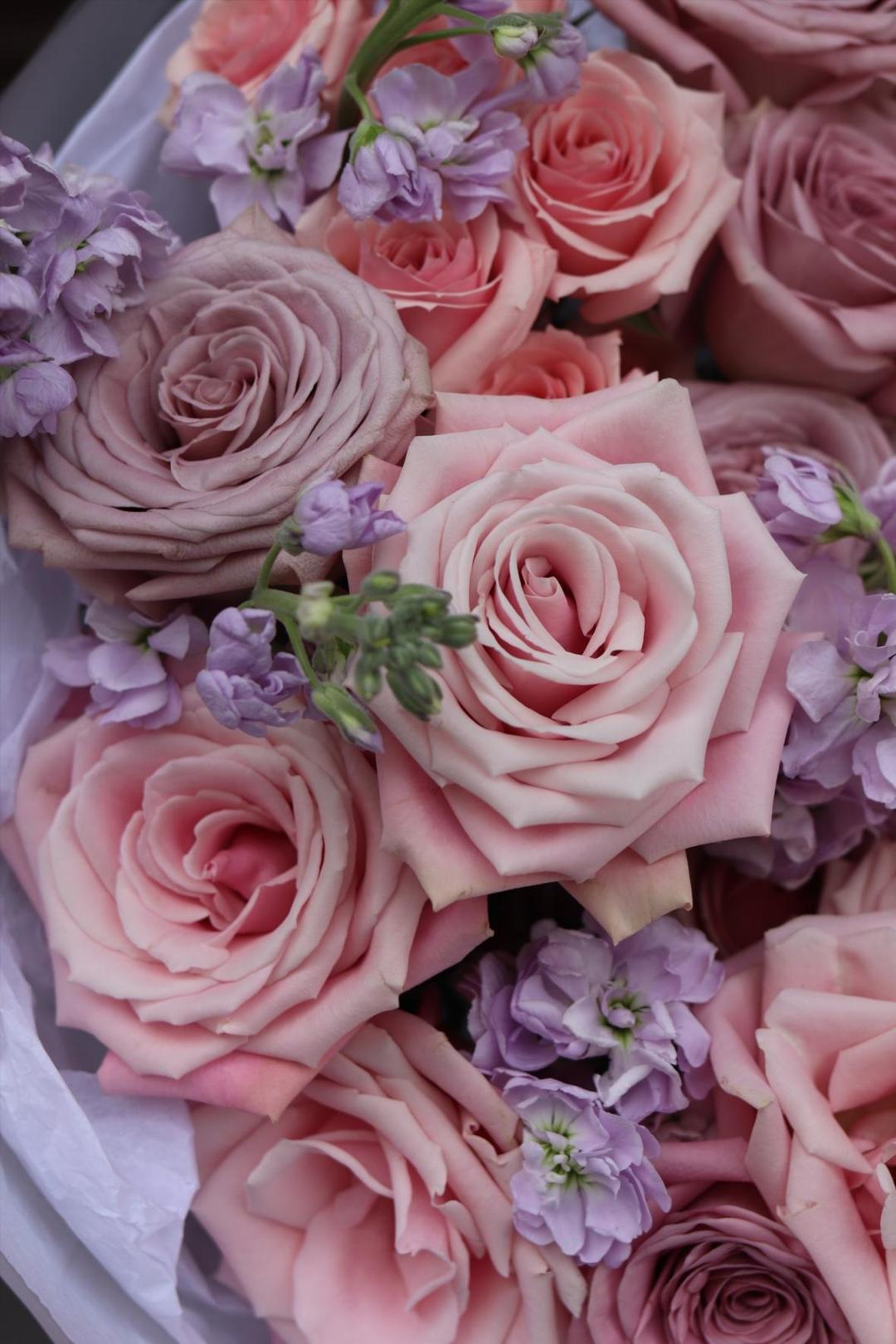 Silk Bloom [Силк Блум]