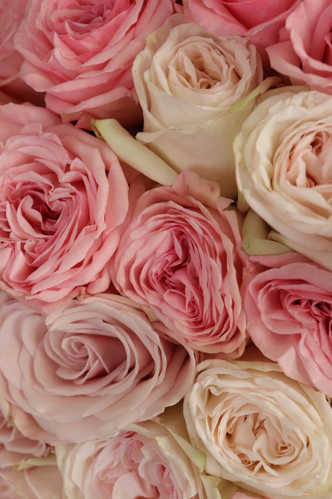 Нежный пионовидный микс