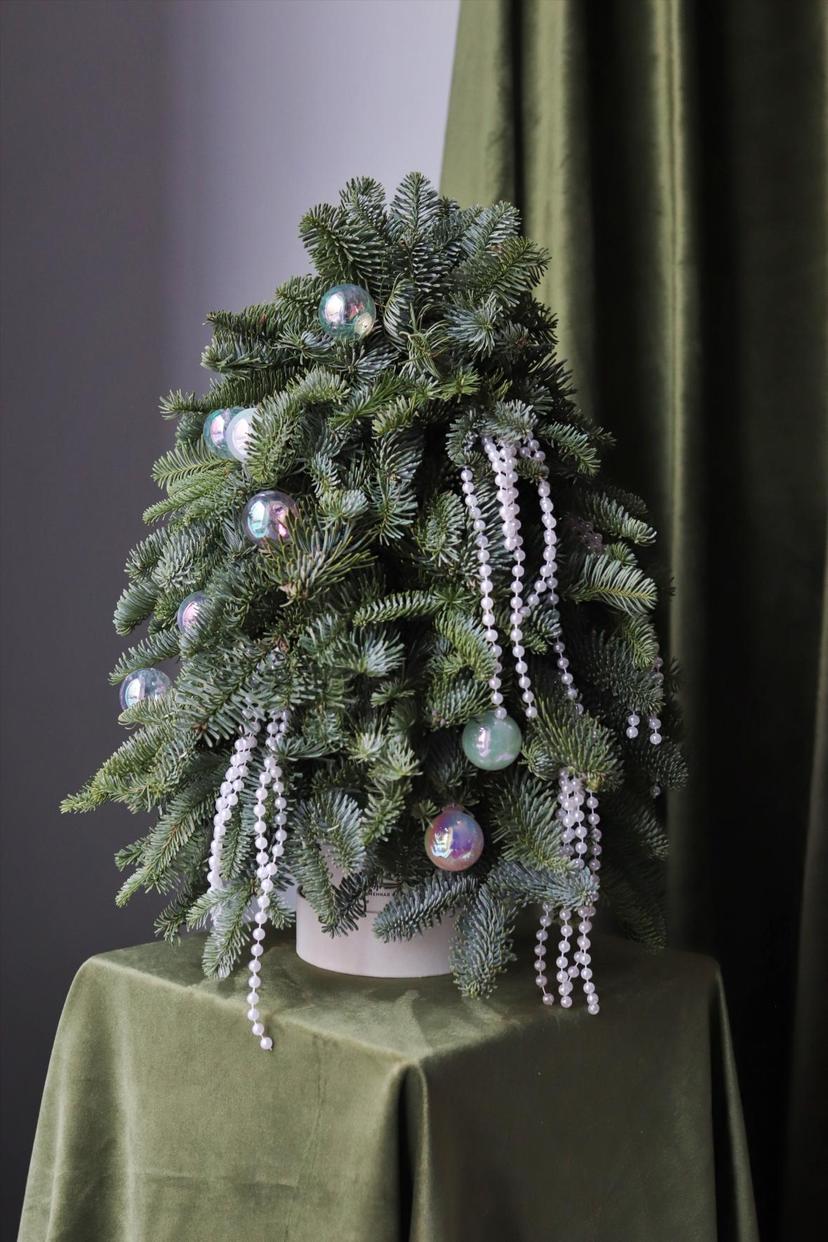 Зимняя радуга