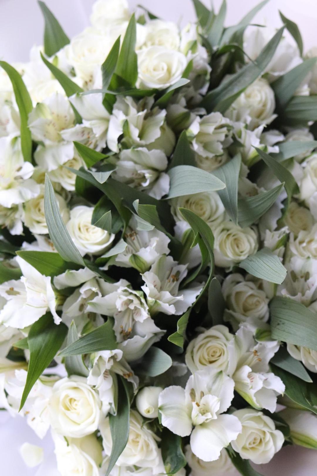 Ash Light [Аш Лайт]