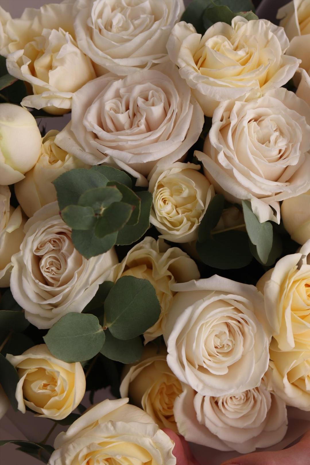 Moon Rose [Мун Роуз]