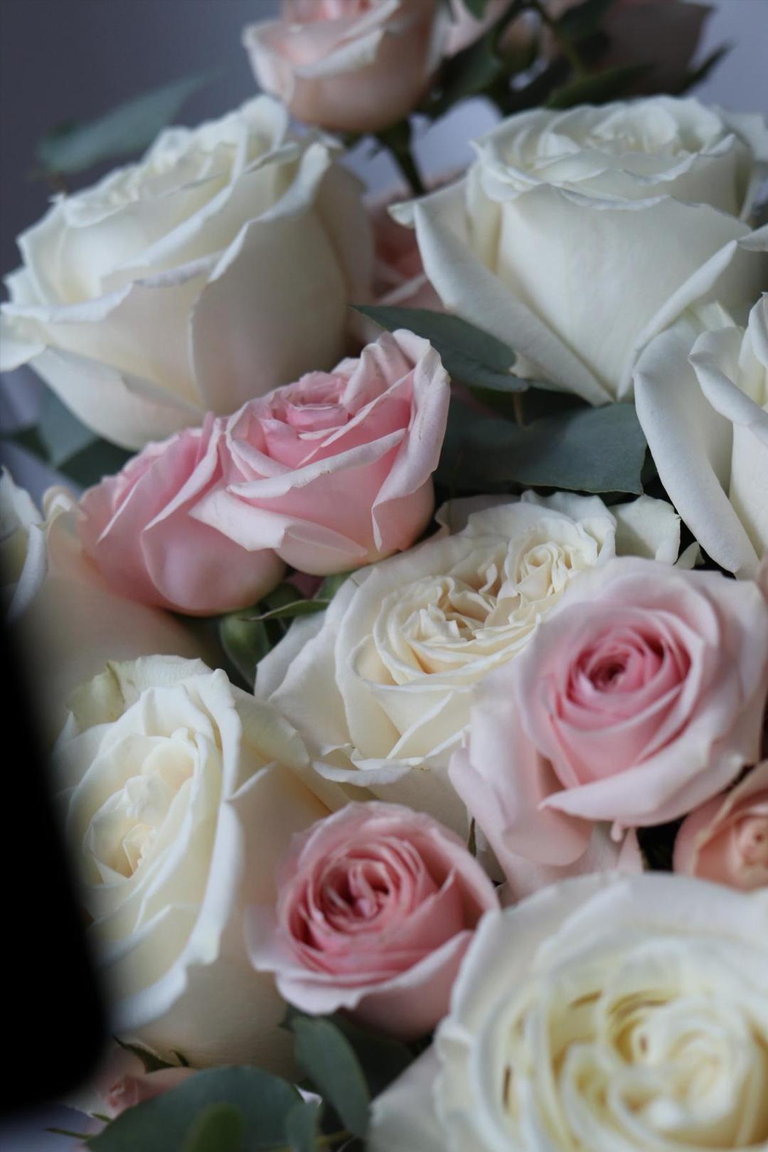 Fresh Blush [Фрэш Блаш]