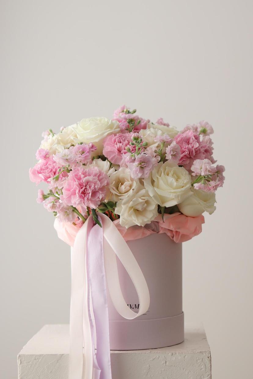 Haze Box [Хейз Бокс]