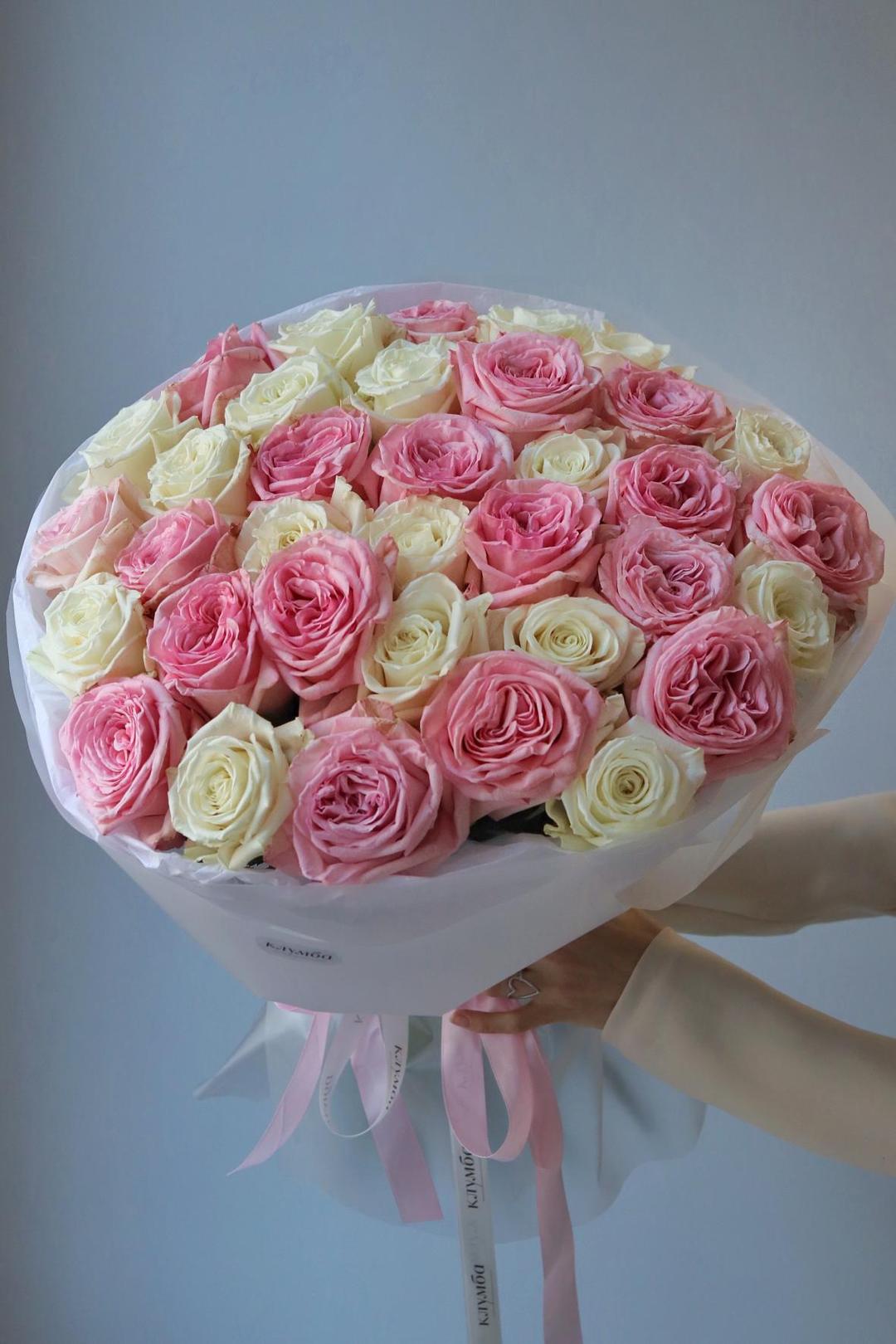 Плайя Бланка и Пинк Охара