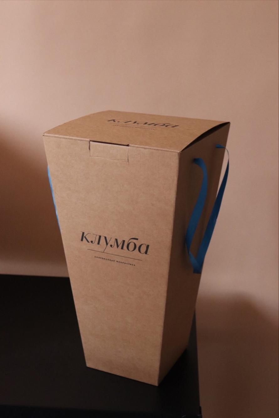 Коробка для доставки