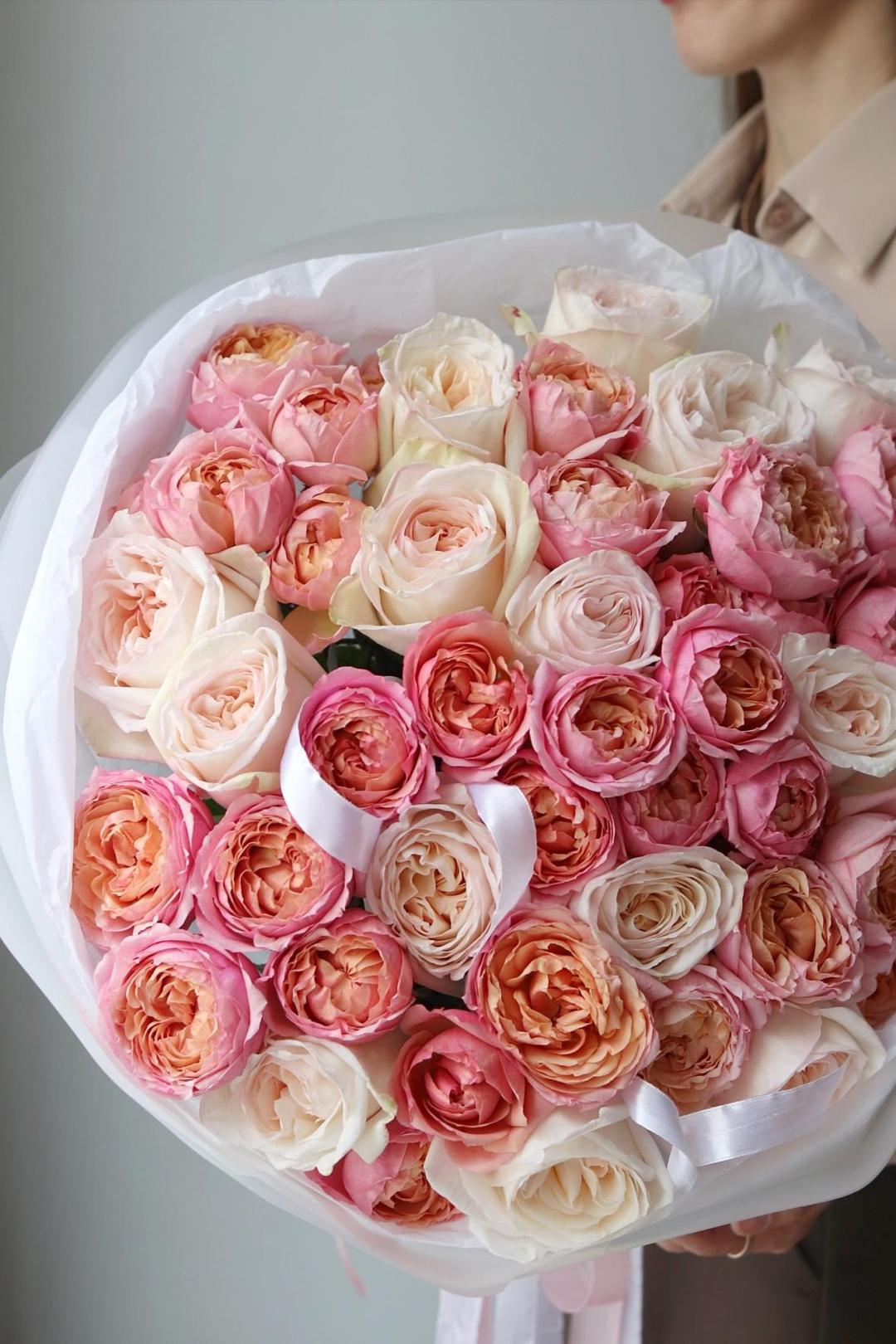 Вайт Охара и Джульетта